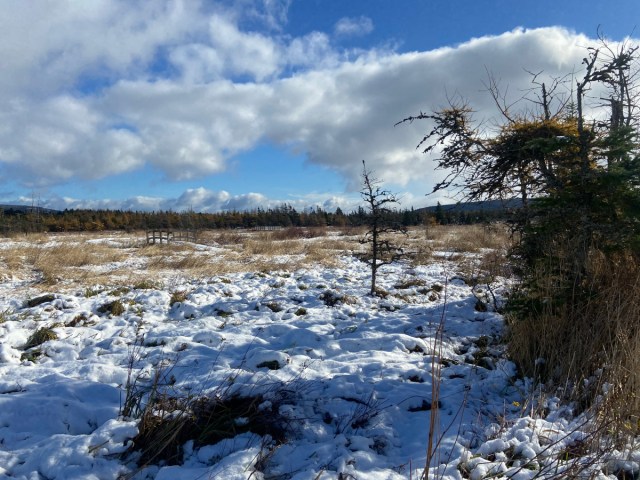fieldworkblog's tweet card. Today is World Wetlands Day and to we are thrilled to welcome Danielle Fequet to the blog. Danielle works with Ducks Unlimited Canada and will tell us a bit about the history and importance of Worl…