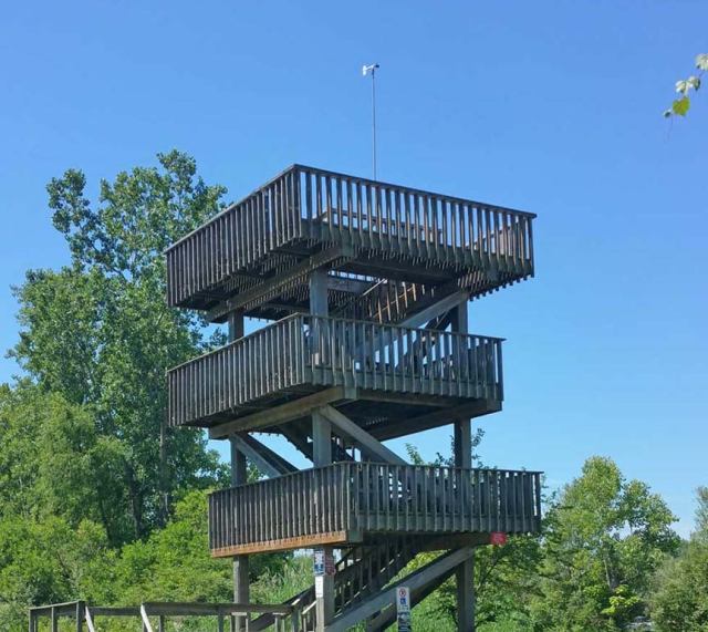 fieldworkblog's tweet card. In a (slightly belated) celebration of World Migratory Bird Day, Dispatches from the Field is excited to welcome this month’s guest blogger, Jenna McDermott, to share her experience watching …