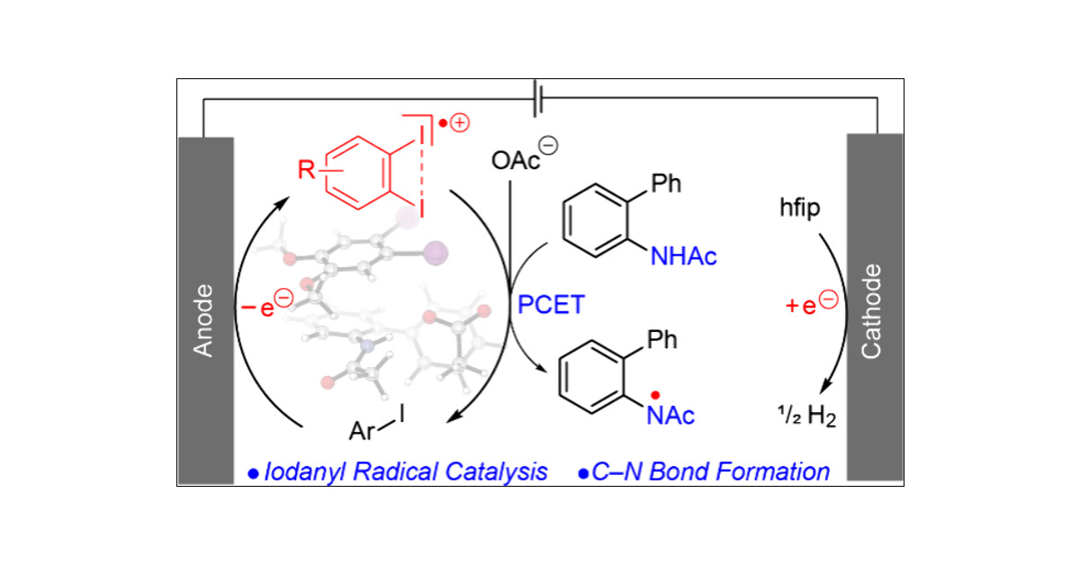HyperIodine's tweet card. The utility of hypervalent iodine reagents is often ascribed to the selective two-electron redox events that interconvert I(I), I(III), and I(V) species during substrate oxidation. We recently...