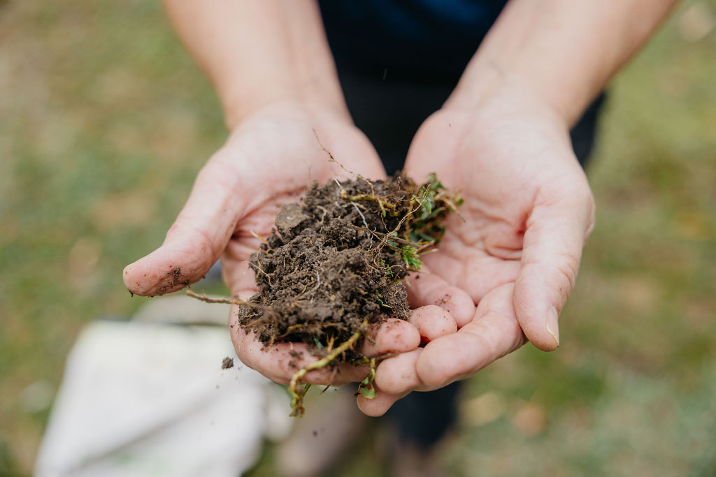 mattsechrest's tweet card. Organic landscape pilot brings together R&DE, LBRE, and DAPER to advance soil health, biodiversity, and resilient landscapes.
