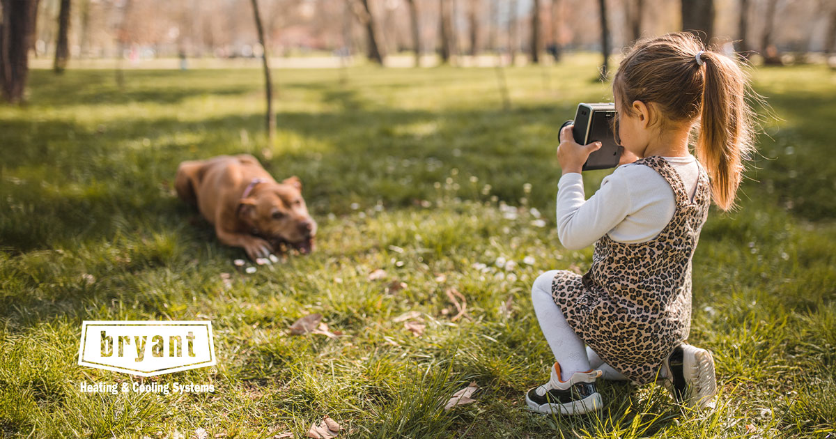 Advhtginc's tweet card. Just like Bryant’s HVAC systems, dogs make home the best place to be! Comment with a picture of your dog! #BryantPromo