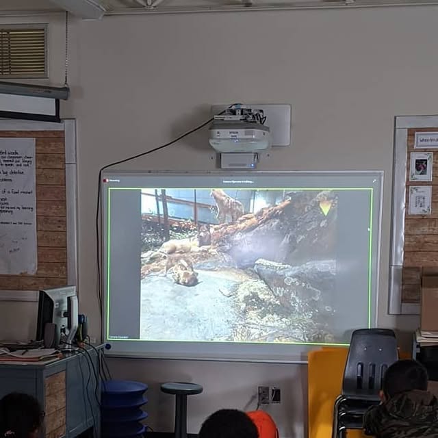 MsKleinsClass's tweet card. Ms. Klein (@msbrittanyslearners) • Instagram photos and videos