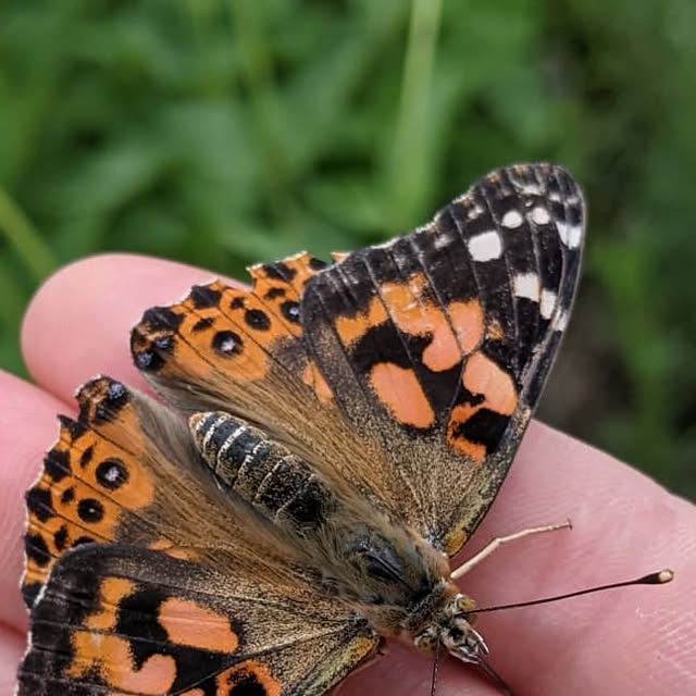 MsKleinsClass's tweet card. Ms. Klein (@msbrittanyslearners) • Instagram photos and videos