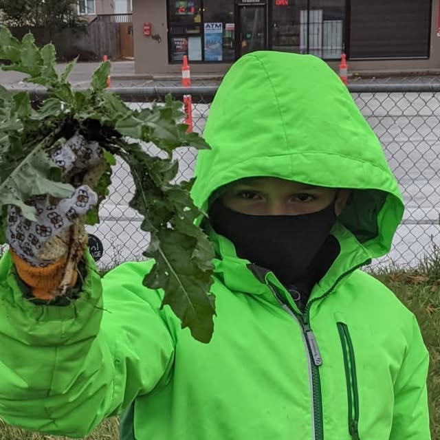 MsKleinsClass's tweet card. Ms. Klein (@msbrittanyslearners) • Instagram photos and videos