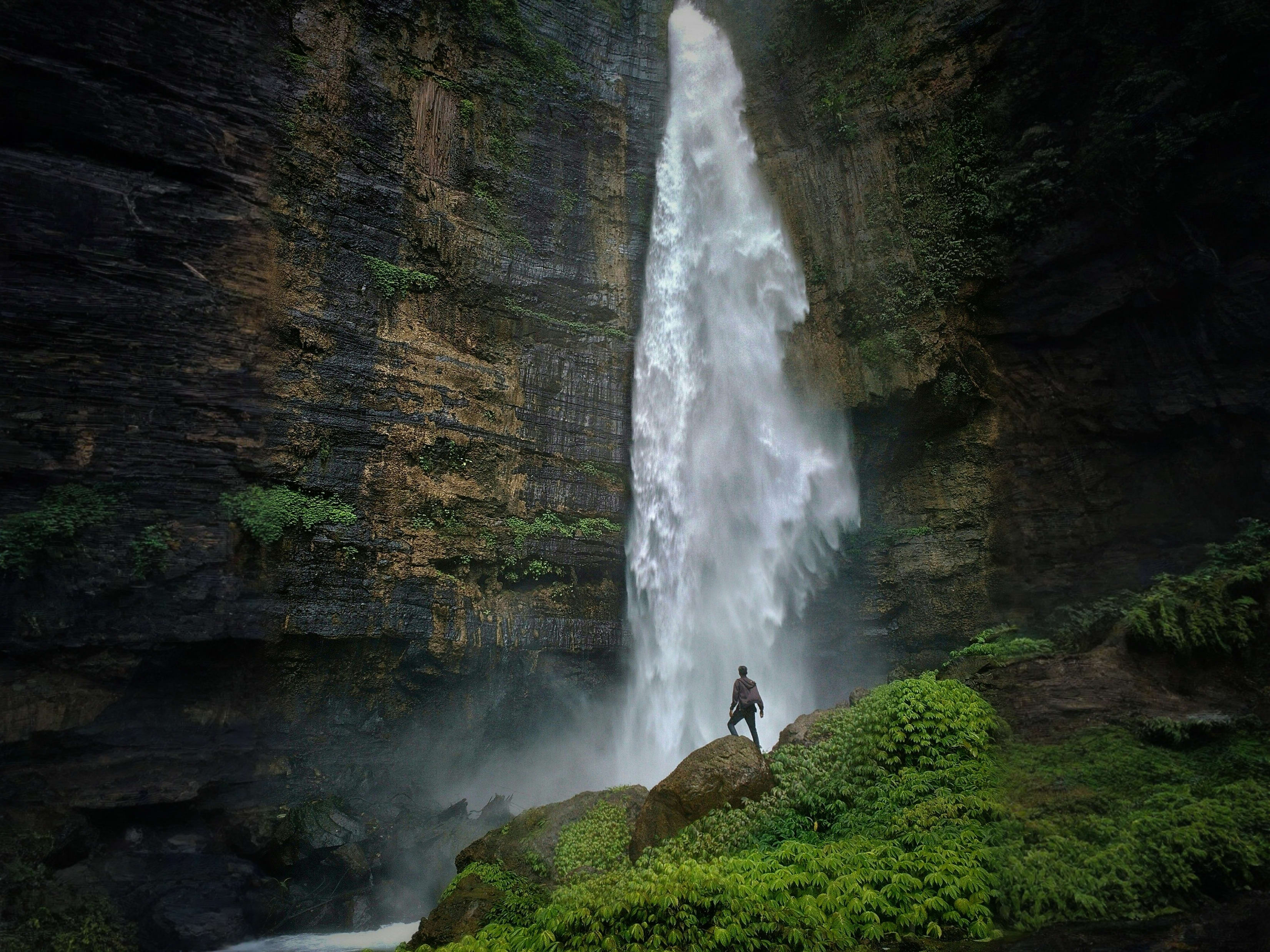 frontendninja10's tweet card. React Hook Form is a library that simplifies form handling in React. It handles form state efficiently, reduces unnecessary re-renders, and makes validation seamless.