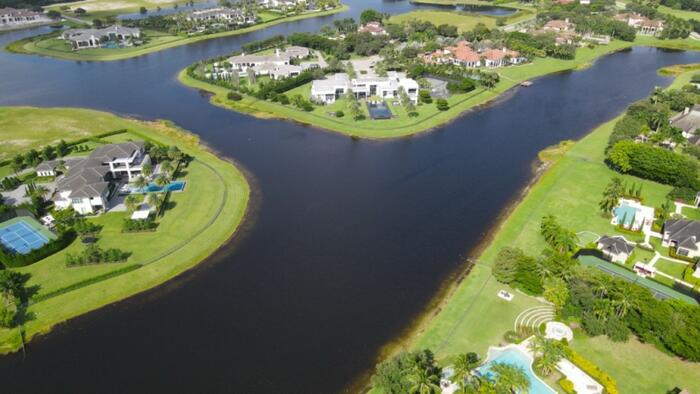 zerohedge's tweet card. ...because they realize where this is going?