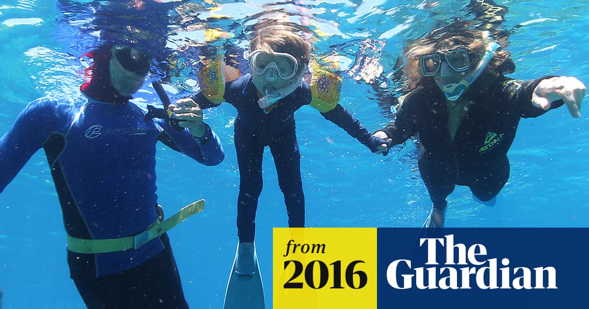 billmckibben's tweet card. Exclusive: In Under the Surface, a special Guardian film, the writer and environmental campaigner Naomi Klein travels to the Great Barrier Reef with her son, Toma, to see the impact of coral bleach...