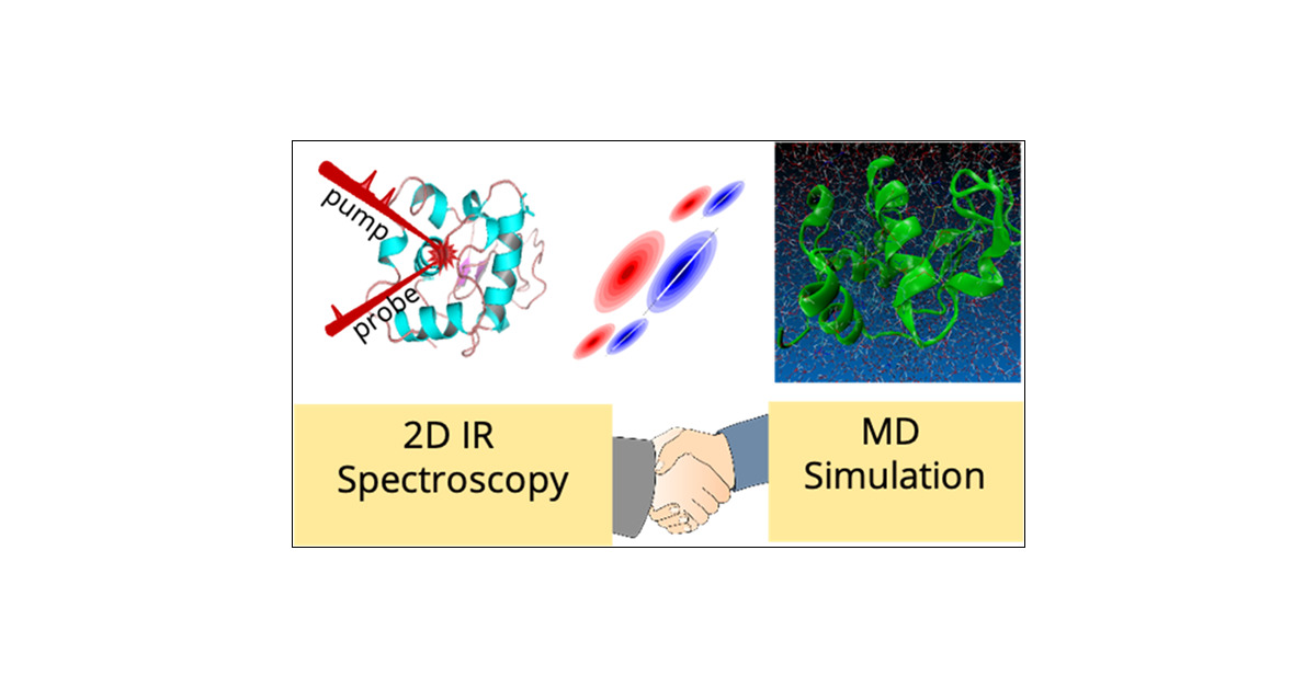 bagchilab's tweet card. The acid–base behavior of amino acids plays critical roles in several biochemical processes. Depending on the interactions with the protein environment, the pKa values of these amino acids shift from...