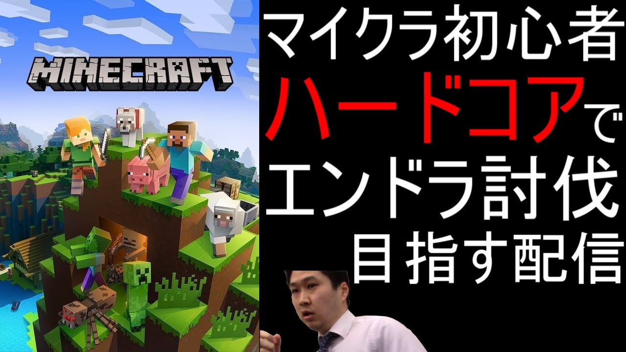 ElecInfoTech's tweet card. 【死んだら最初から】マイクラ初心者がハードコアでエンドラ討伐目指す配信 13日目【Minecraft マインクラフト】