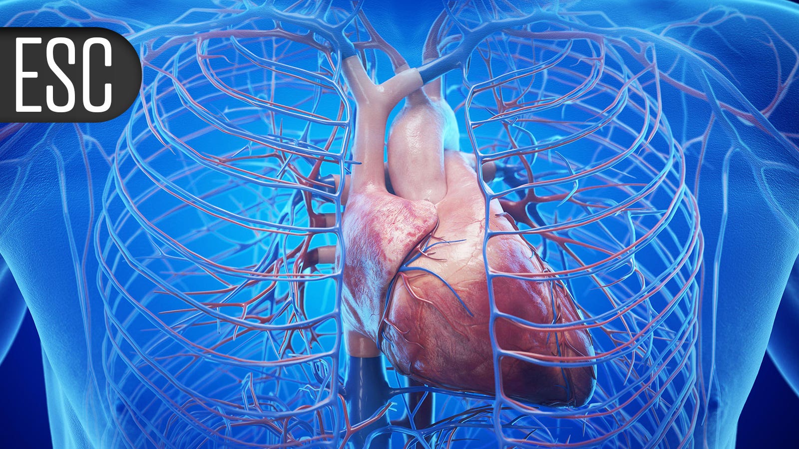 ACCmediacenter's tweet card. Randomized Korean trial shows less bleeding, similar stroke risk, versus those who continued