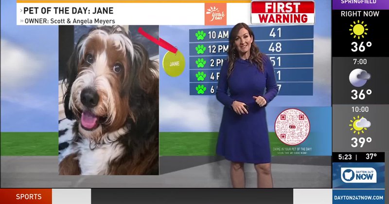 Tweet card summary image