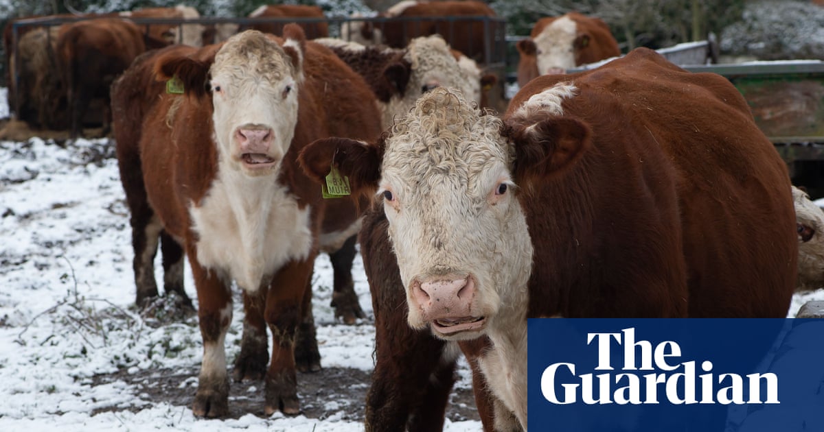 SusieTa32510601's tweet card. Letter: Jon Reeds of Smart Growth UK says the proposed development in Cambridgeshire’s countryside would see precious farmland destroyed