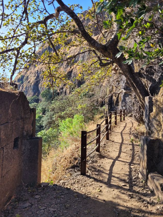 ImLB17's tweet card. ७ डिसेंबर २०२४, शनिवारचा दिवस… घरी कोणीच नव्हते, त्यात सुट्टी. पण २ दिवस कसे घालवायचे हा प्रश्न नव्हता, कारण भारत विरुद्ध ऑस्ट्रेलिया दुसरा कसोटी सामना सुरू होता. टीव्हीवर मस्तपैकी मॅच एन्जॉय…