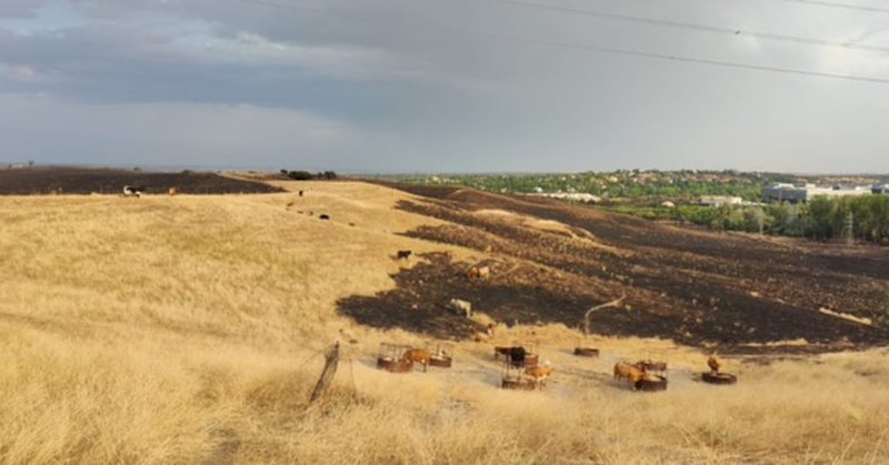 Tweet card summary image