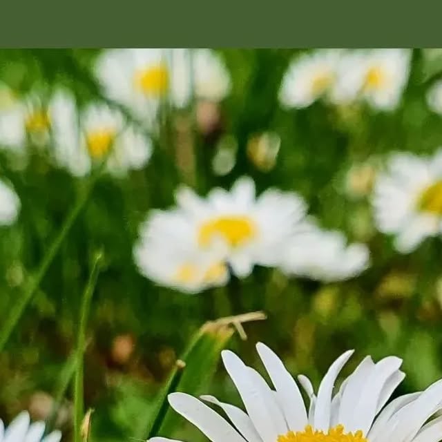 FortitudeProjec's tweet card. Fortitude Project (@fortitudeprojec) • Instagram photo