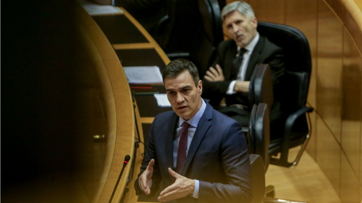 EduardoEscriba7's tweet card. Policías de la SUP acusan al Gobierno socialcomunista de arriesgar la salud pública y aumentar el efecto llamada con traslado de inmigrantes.