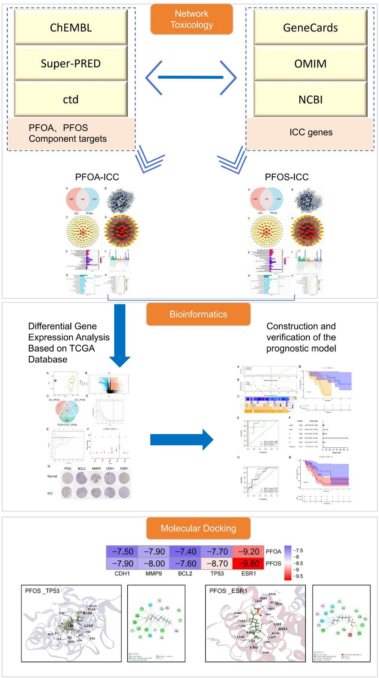 deepgreendesign's tweet card. Scientific Reports - Investigation of the toxicological effects of PFAS on cholangiocarcinoma based on network toxicology, bioinformatics, and molecular docking