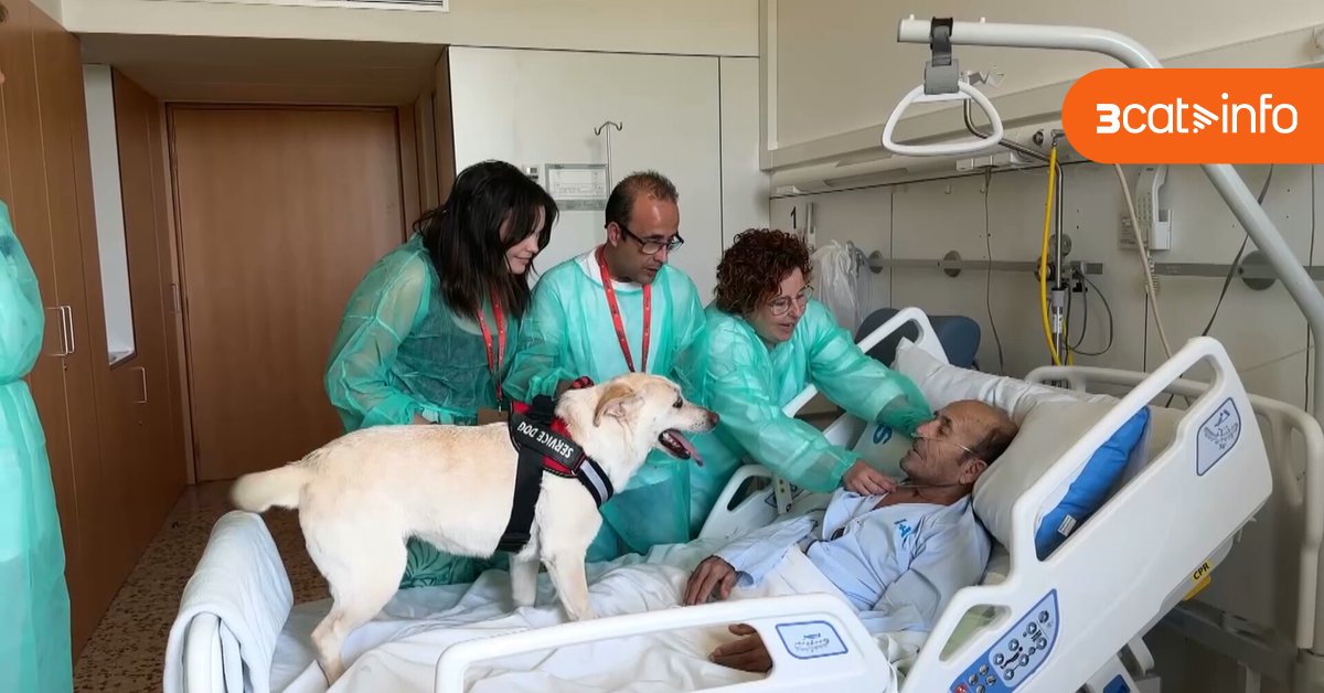 3CatInfo's tweet card. L'Hospital Santa Caterina, a Salt, ha començat una iniciativa perquè els malalts que es troben al final de la vida, o amb un pronòstic incert, es puguin acomiadar dels seus gossos