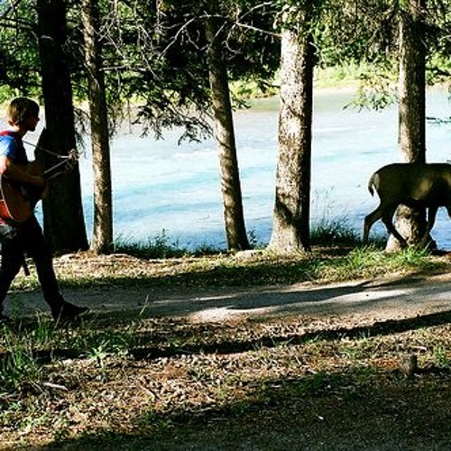 Projex__'s tweet card. Already Gone (acoustic)