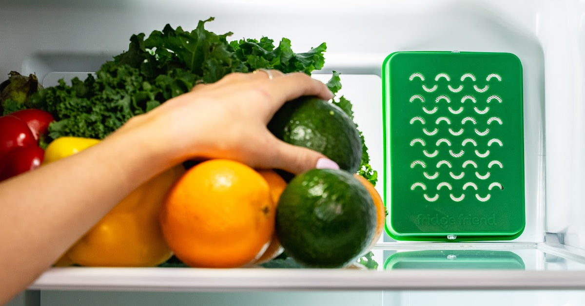 jonnylroberts's tweet card. Fridge Friend. Refrigerator Ethylene Filter that keeps produce fresh longer and reduces food waste costs for any household.