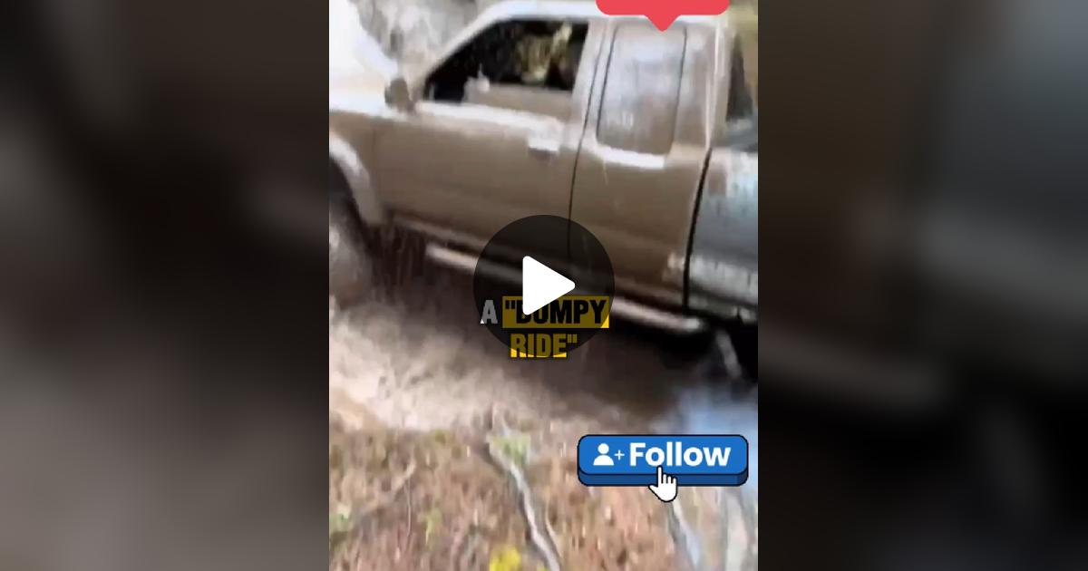 Language_Forge's tweet card. Check out LanguageForge’s video.