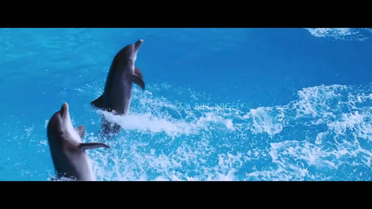 sapCommBlogs's tweet card. So long and thanks for all the fish - Hitchhiker's Guide (HD)