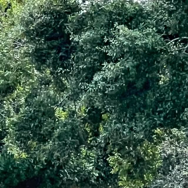 Binzento's tweet card. Vincent Law (@binzento) • Instagram photos and videos