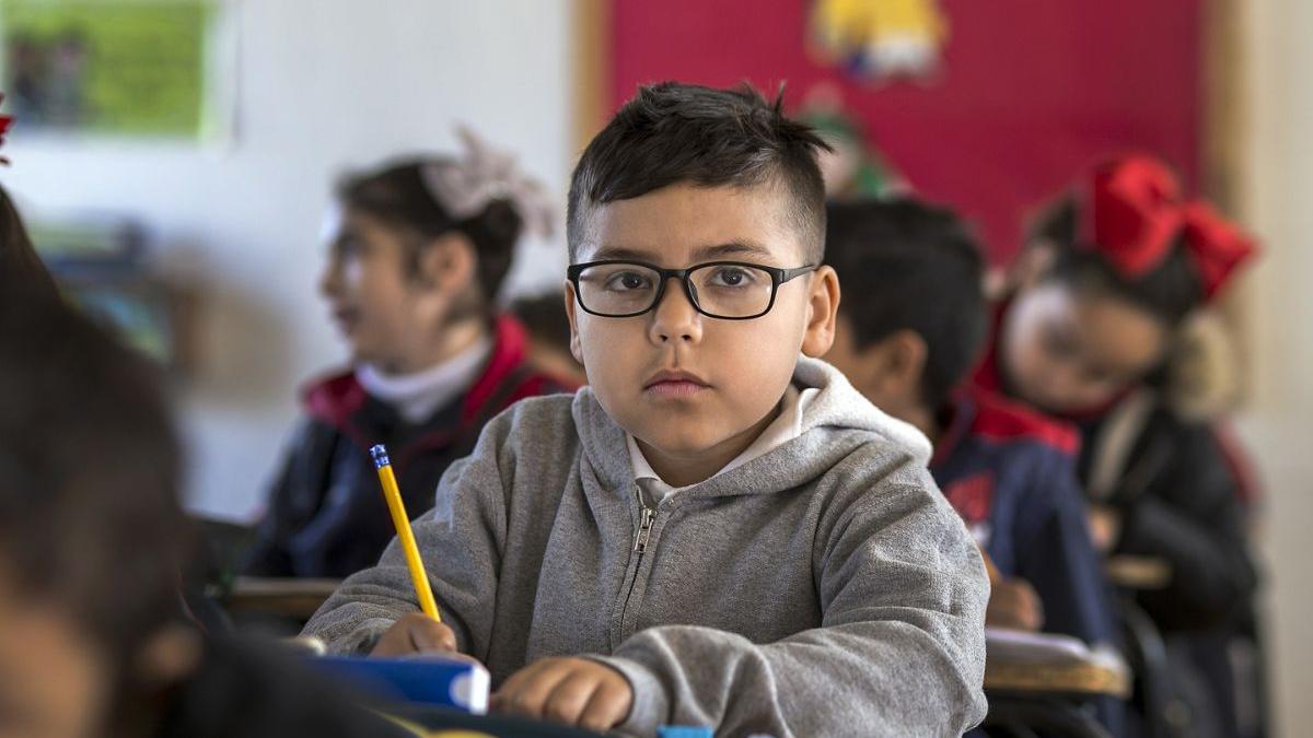 mathrubhumieng's tweet card. The board has underscored the use of the child’s mother tongue or home language as the primary medium of instruction during the Foundational and Preparatory Stages.