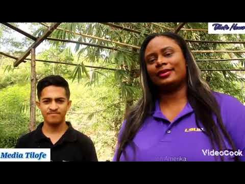 BlackInRobotics's tweet card. Drones, Robotics, and Technology in Timor Leste, Northern Australia -...