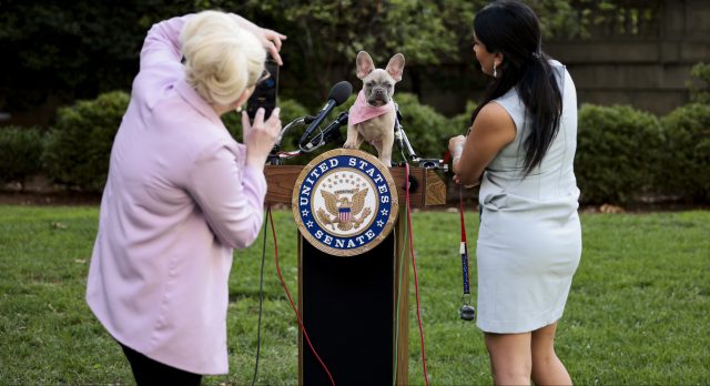 The_EARA's tweet card. Heard of the FDA Modernization Act? It’s already got quite a reputation. After its passage in the final days of 2022, PETA immediately deemed the federal legislation “groundbreaking,” calling it “a…