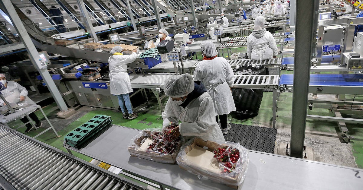 PhillipeTruan's tweet card. La simplificación regulatoria tendría en el caso de la economía chilena un impacto decisivo en el crecimiento de largo plazo.