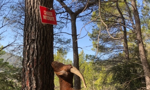 CatherinePasq10's tweet card. Animaux - Signez la pétition : Sauvons le refuge de Mauricette