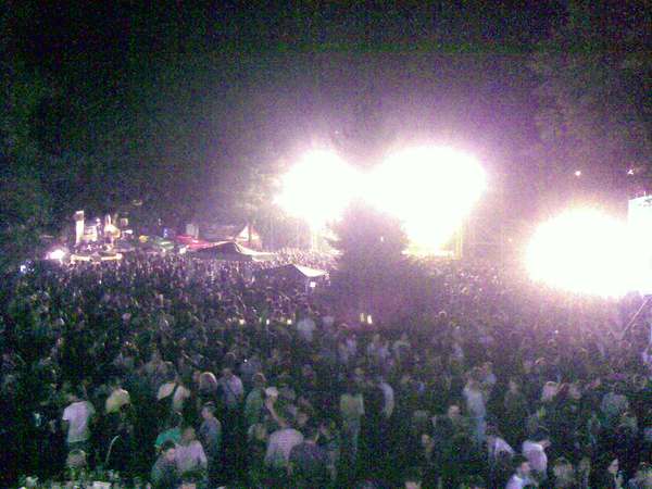 zoranco's tweet card. drvo i #pivolend