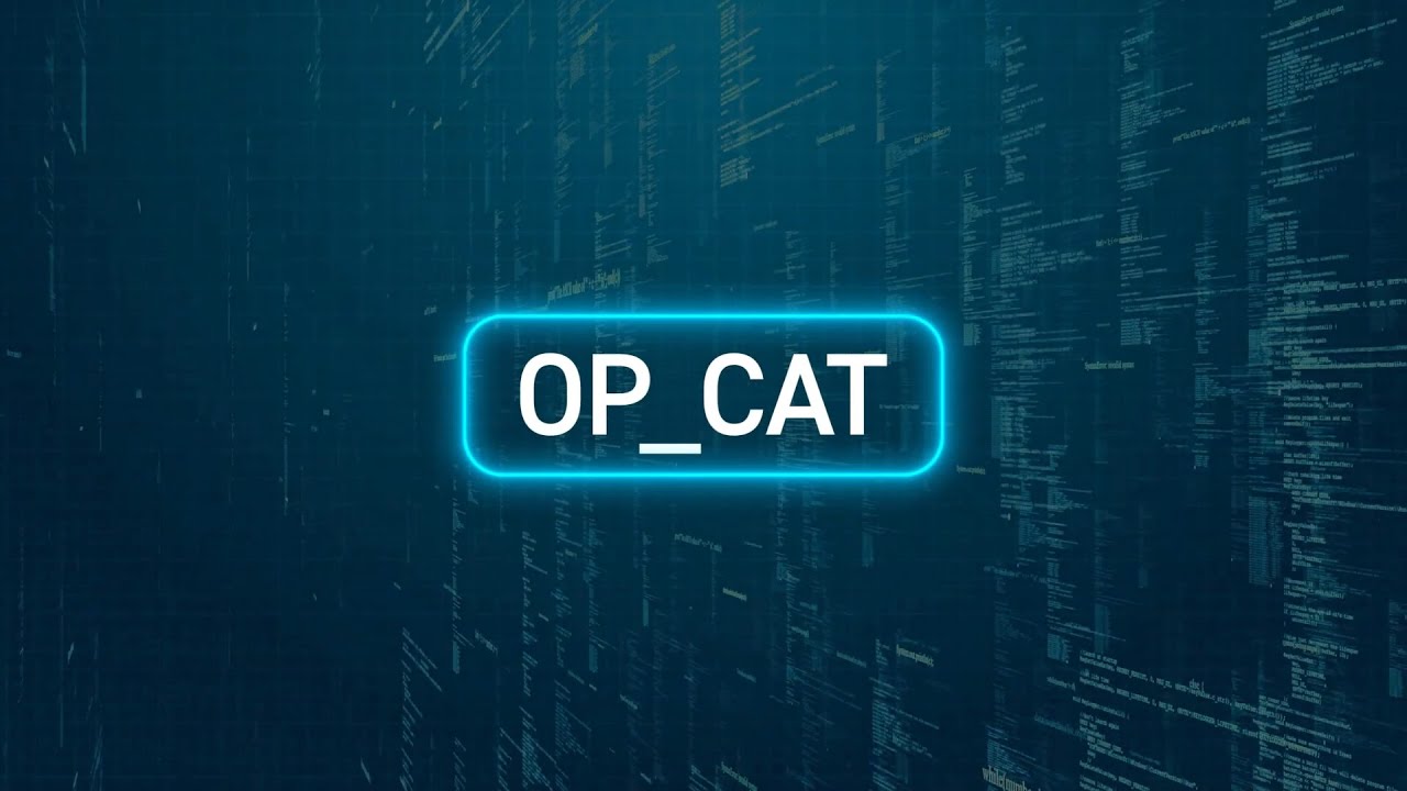 ProtocolCAT's tweet card. OP CAT as a Precursor to Other Covenant Proposals