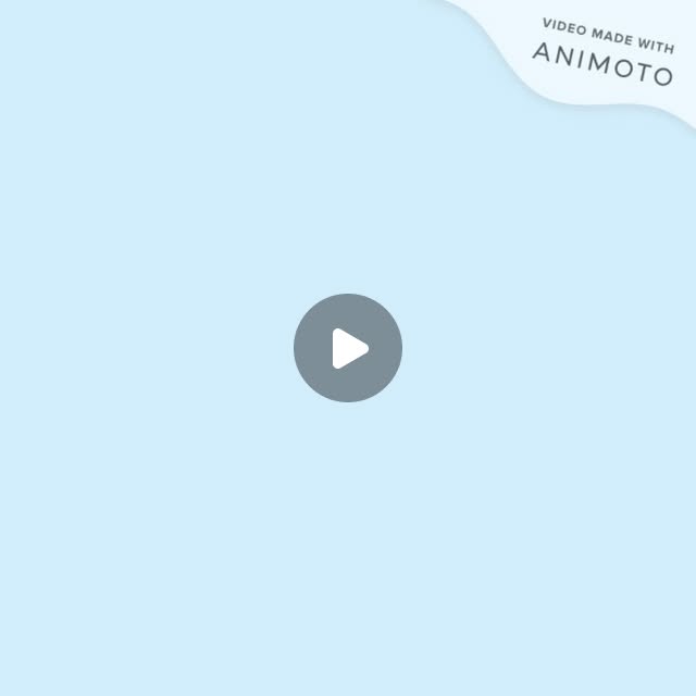 SCSDBFOUNDATION's tweet card. SC School for Deaf Blind Fdtn (@scsdbfoundation) • Instagram video