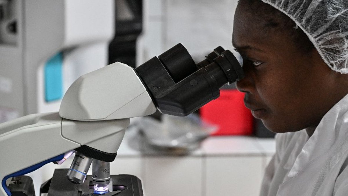 Voz_US's tweet card. Several researches have found that some specific strains can help in specific conditions.