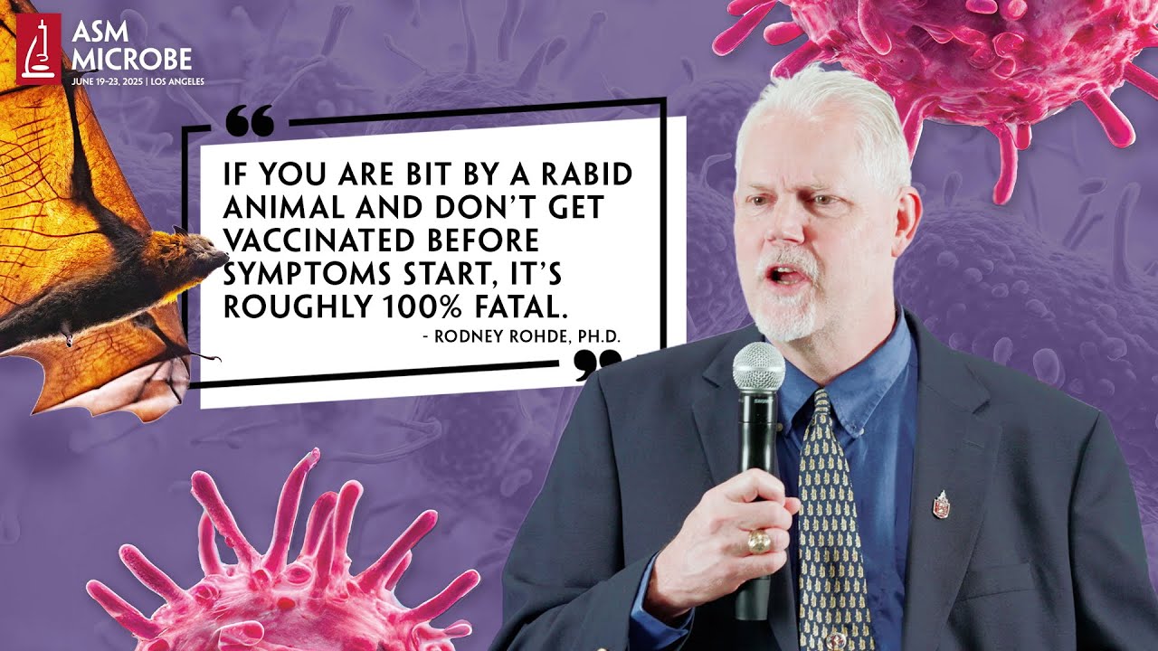 TXST_MLS's tweet card. Bat Rabies: What To Know Before and After Being Bitten!