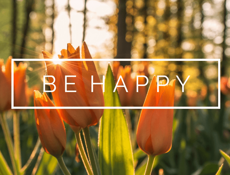 VibeSeo1128's tweet card. Design your own X/Twitter header with Canva's free amazingly simple graphic design interface and stunning layouts.