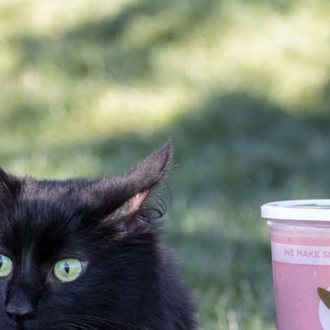 Robeks's tweet card. Robeks - Fresh Juice, Smoothies, Toasts & Bowls (@robeks) • Instagram photo