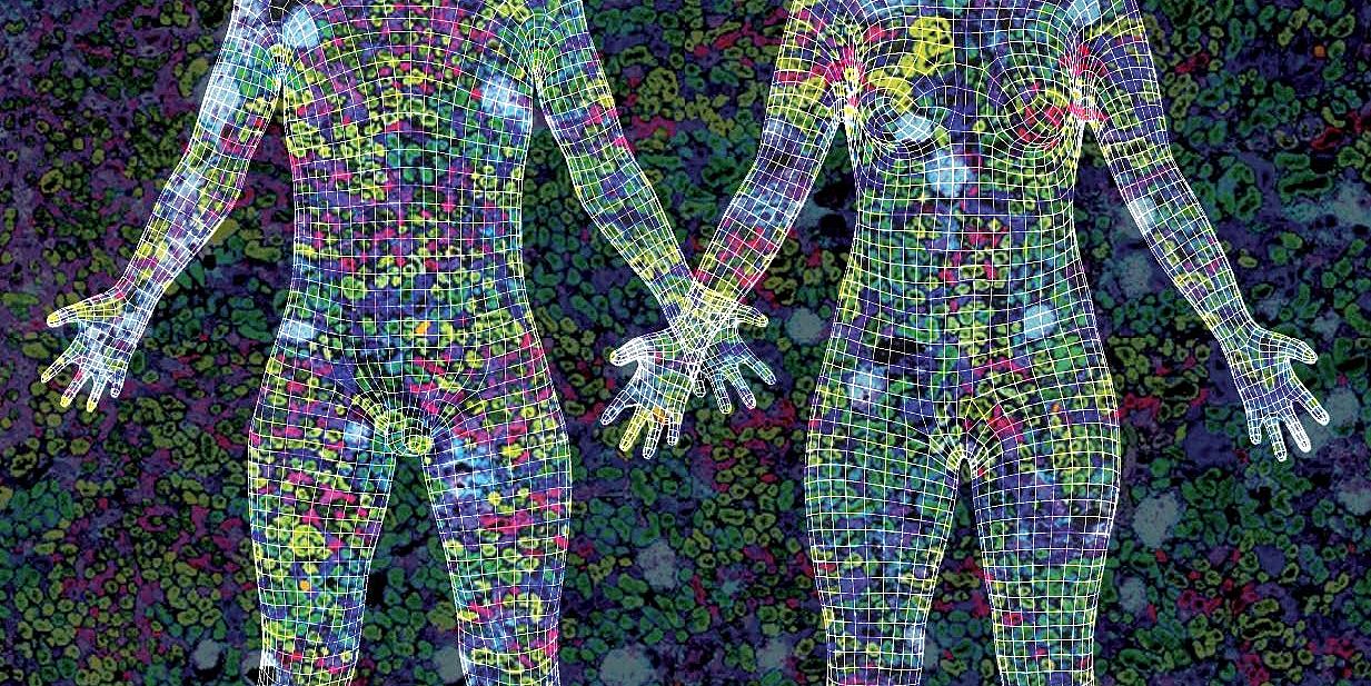 cnscenter's tweet card. A Stiftung Charité Visiting Fellowship is the latest honor for Luddy School Professor Katy Börner as she continues her ground-breaking Human Reference A...