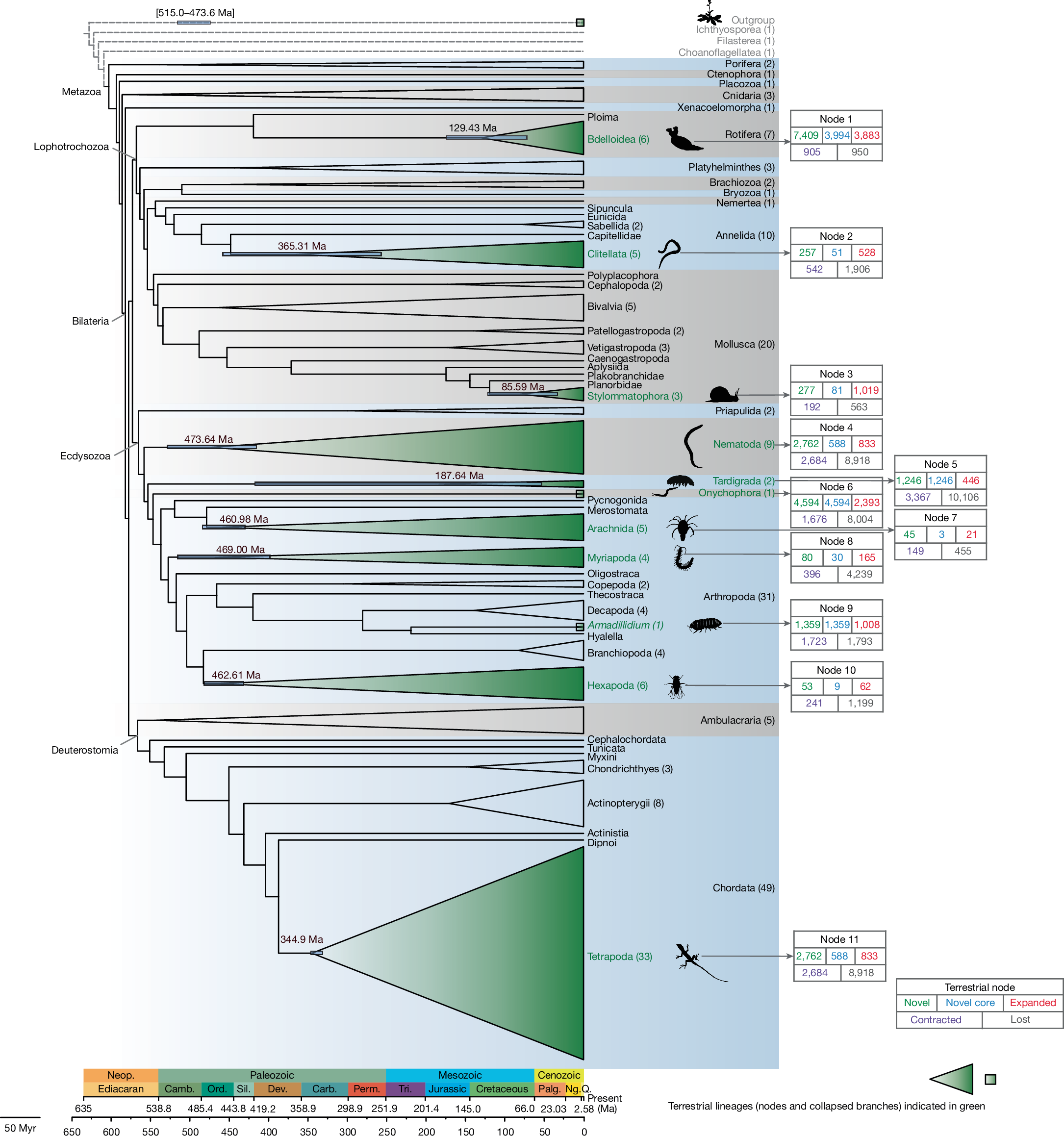 Nature's tweet card. Nature - Comparisons of 154 genomes from 21 animal phyla and outgroups have been used to reconstruct ancestral adaptation to life on land across 11 distinct terrestrialization events, revealing...