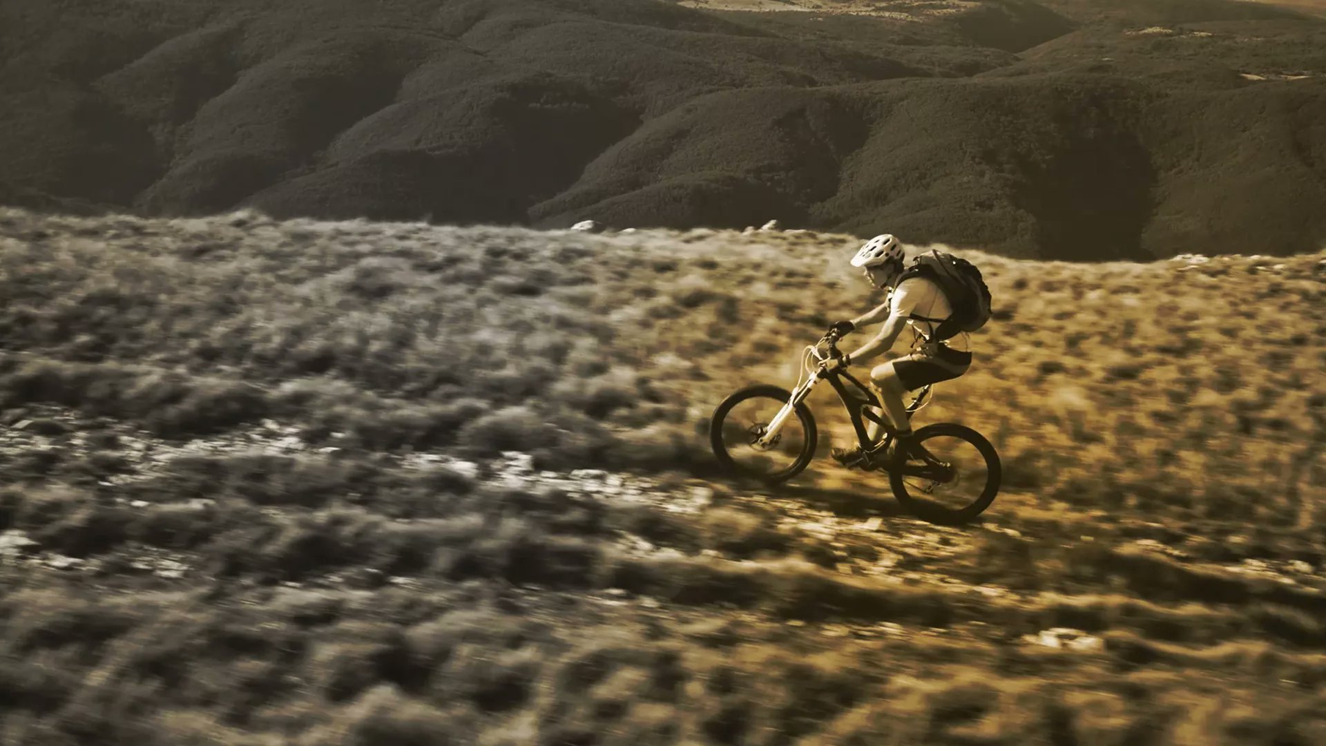 earnestassoc's tweet card. Navigate the ever-evolving ERP reporting landscape and propel your organization toward new heights of profitability and growth.