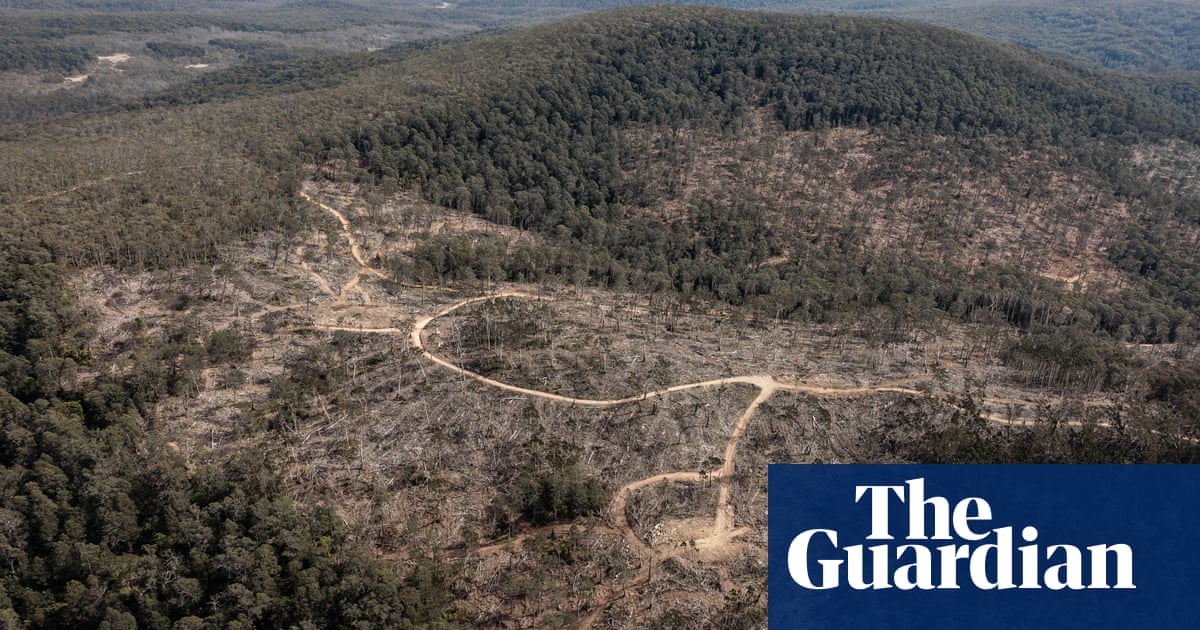 oskaandme's tweet card. Former MP astonished that taxpayers are ‘literally paying’ to cut down forests sustaining koalas and greater gliders and providing clean drinking water