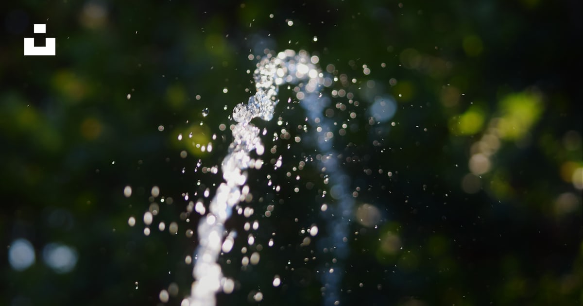 deletec1's tweet card. fr0ggy5が撮影したこの写真をUnsplashでダウンロードする