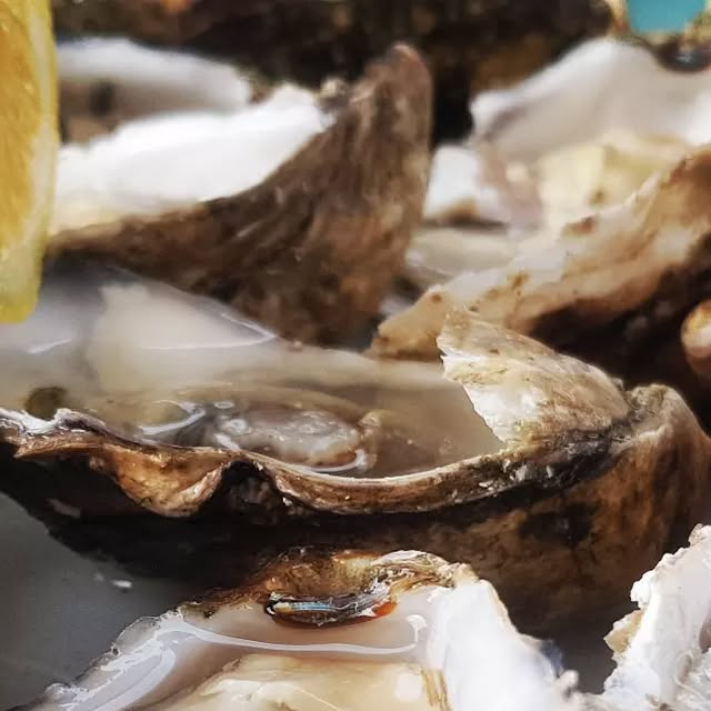 harp_detectives's tweet card. HARP - Détective Privé Nice 🕵️ (@detective_prive_nice) • Instagram photo