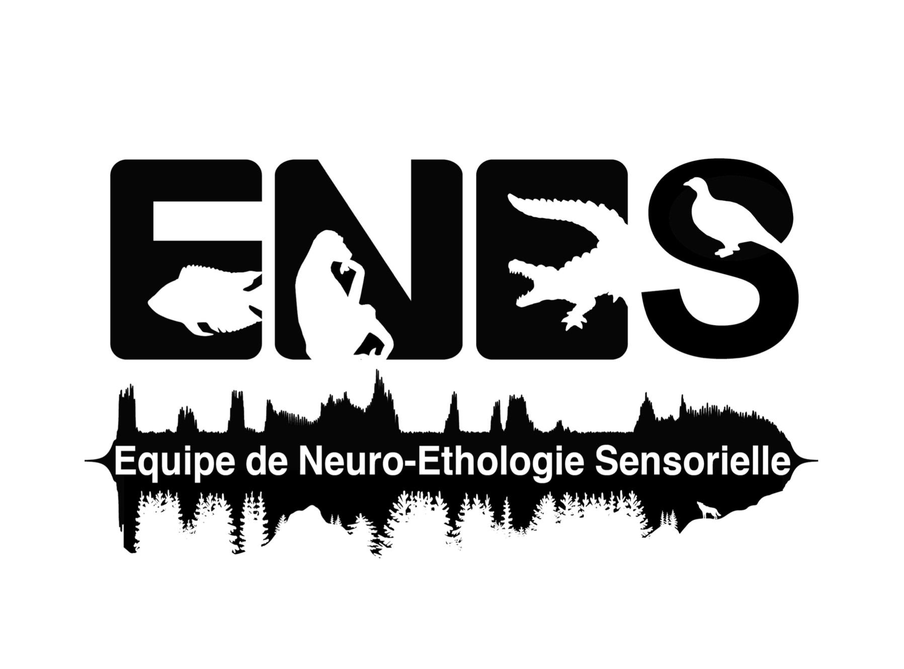 MathevonNicolas's tweet card. Bioacoustics Winter School | ENES lab