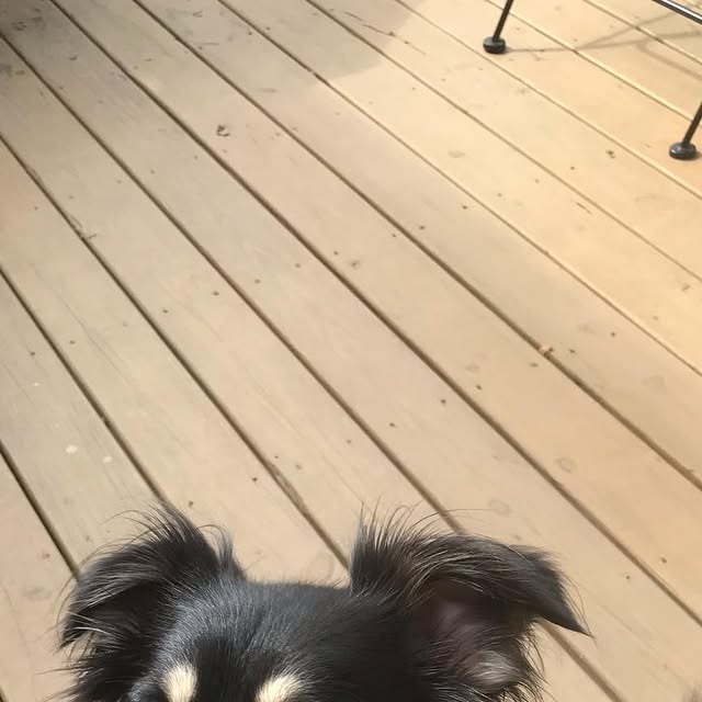 MikeJezdimir's tweet card. Mike Jezdimir (@mjezdimir) • Instagram photos and videos