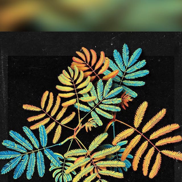 itsfreddyleone's tweet card. Freddy Leone (@freddyleone_) • Instagram photo