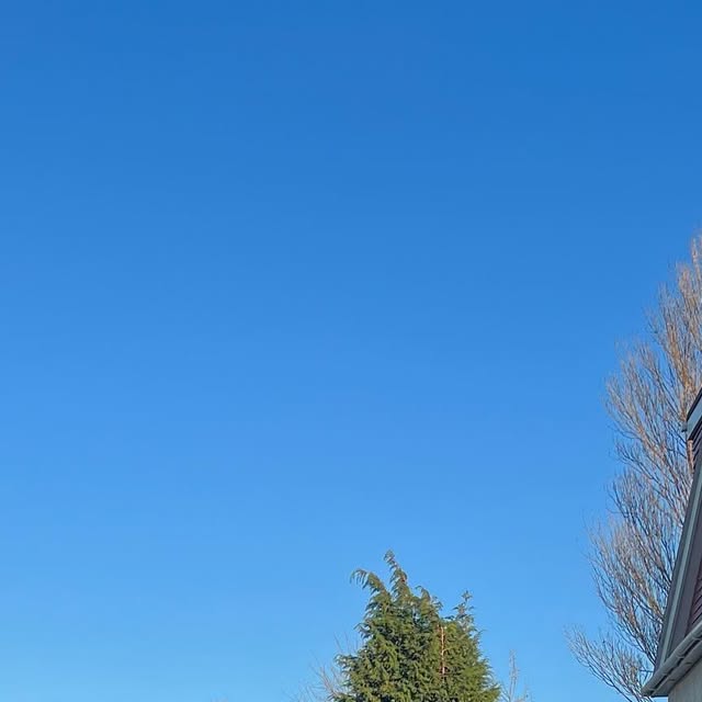 ChatFlap's tweet card. Joe Chatfield (@joebugski94) • Instagram photo