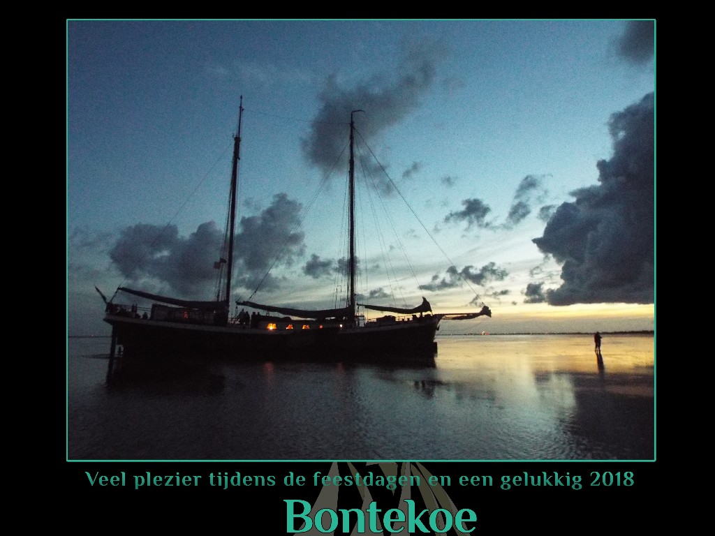 bontekoereizen's tweet card. Lees de nieuwsbrief, of kijk op www.bontekoe.com voor meer informatie!
